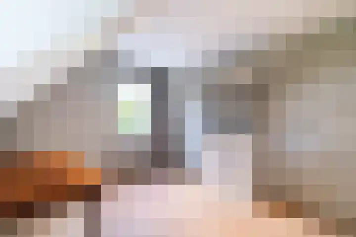 Wilack 301 Uden thumbnail 29