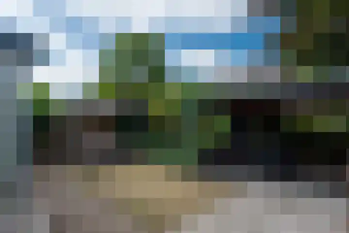 Wilack 301 Uden thumbnail 5