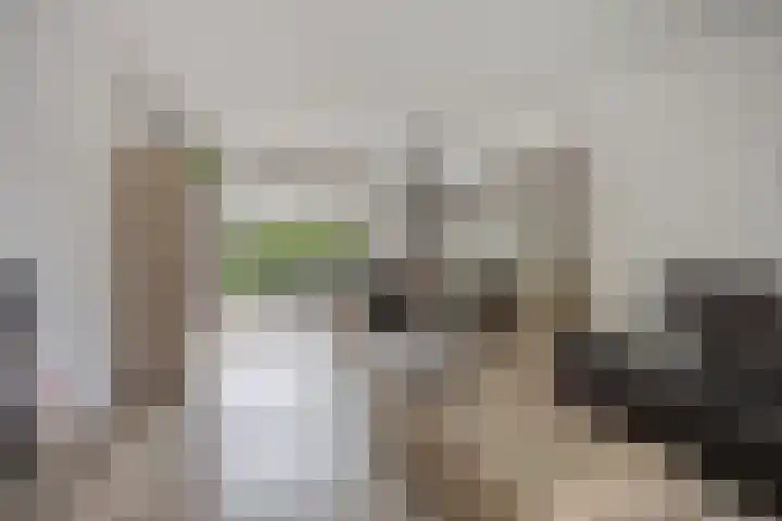 Wilack 306 Uden thumbnail 10