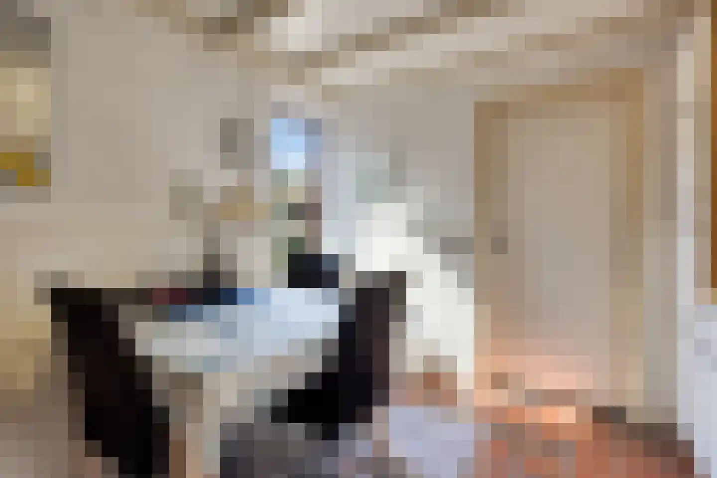 Wilack 309 Uden thumbnail 13