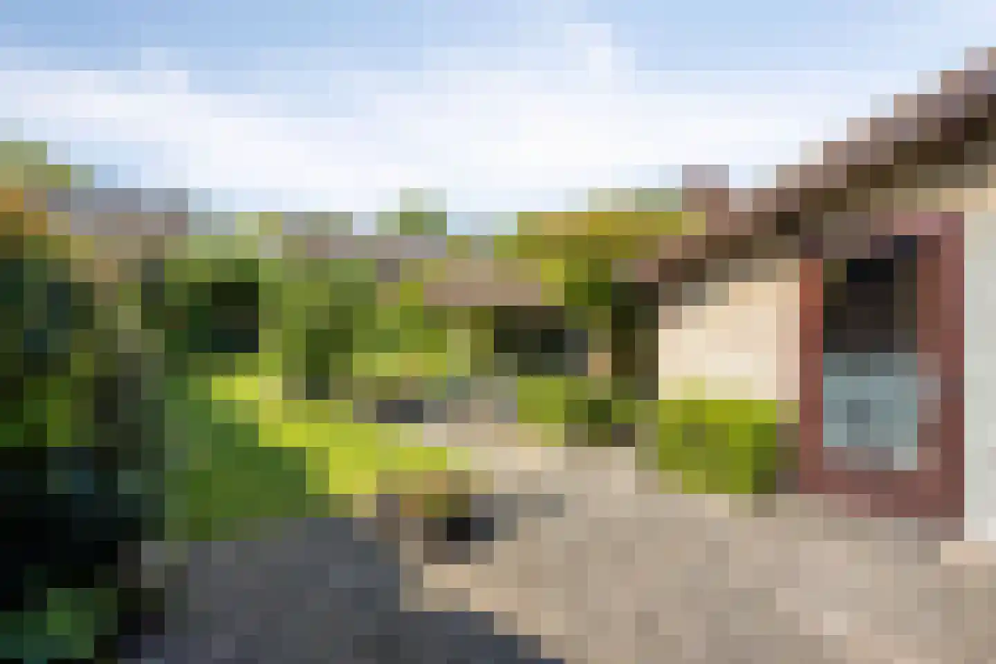 Wilack 309 Uden thumbnail 27