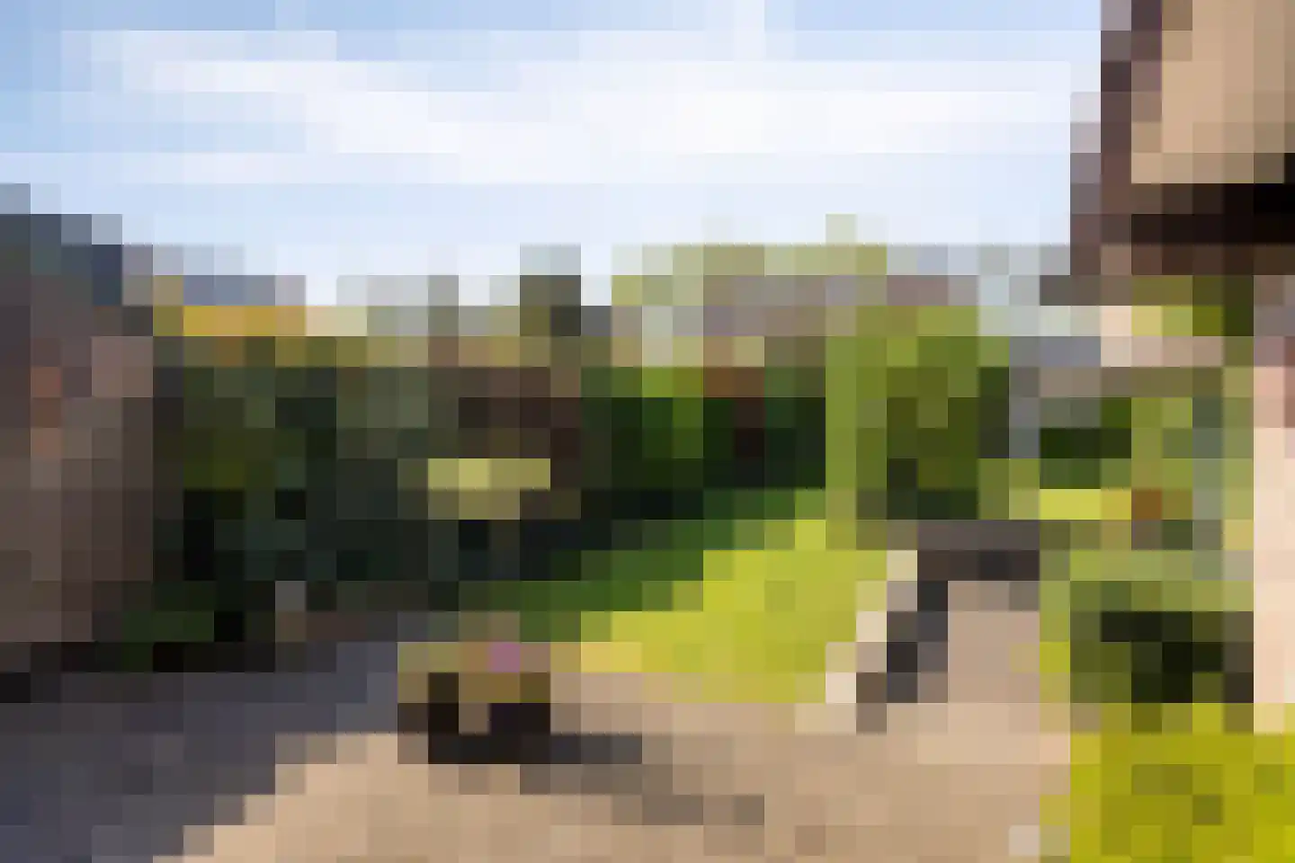 Wilack 309 Uden thumbnail 28