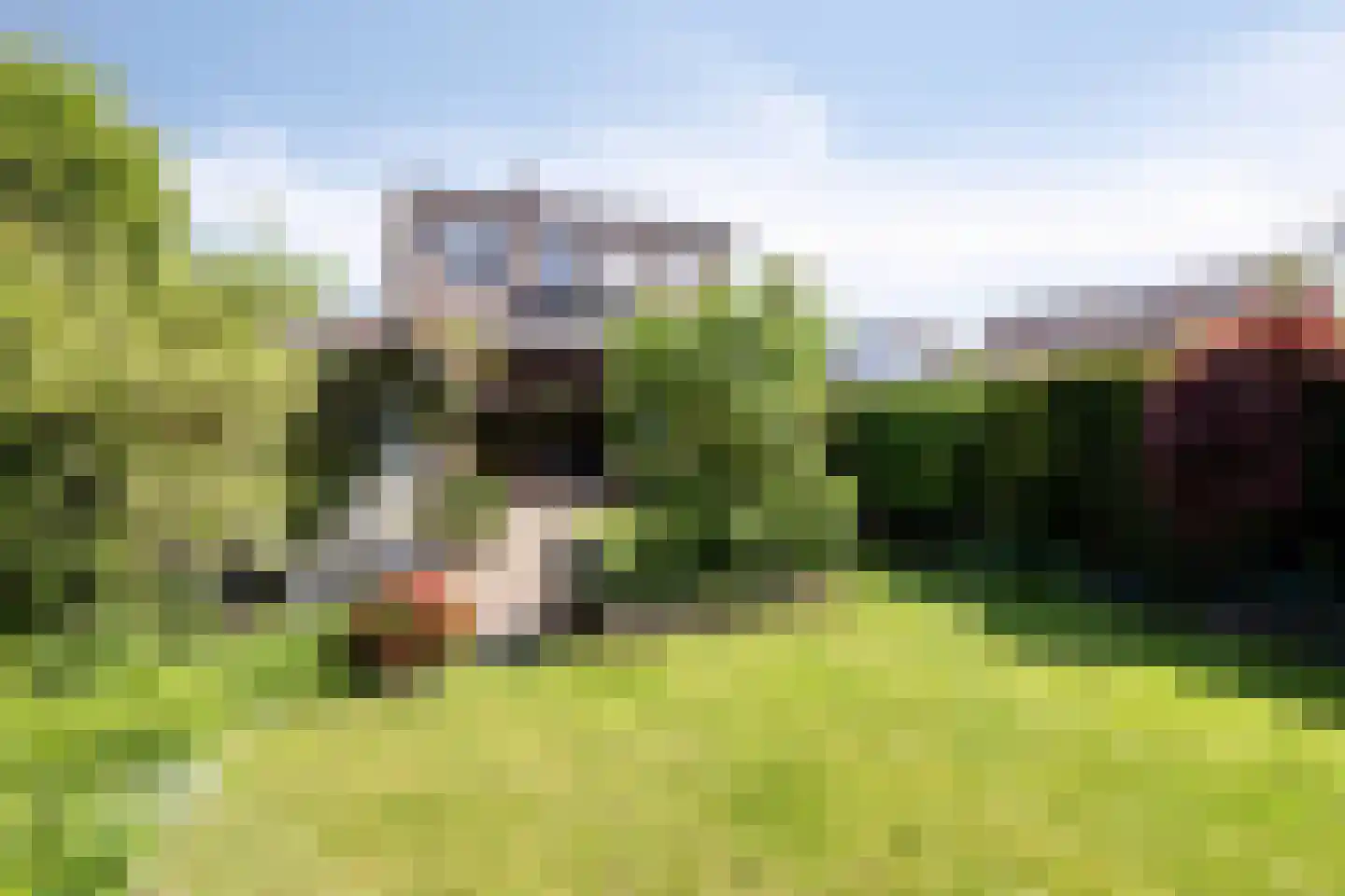 Wilack 309 Uden thumbnail 31