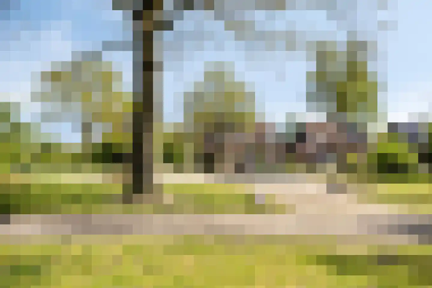 Wilack 309 Uden thumbnail 33