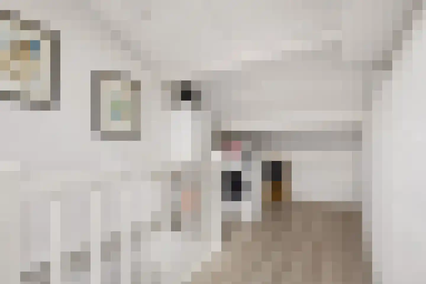 Wilack 315 Uden thumbnail 32