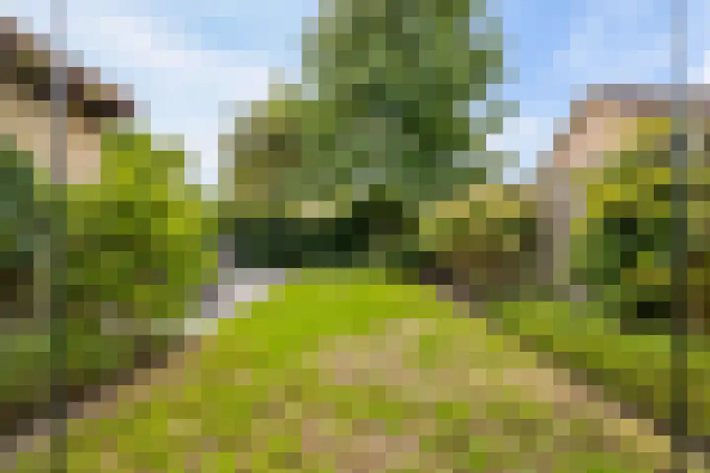Wilack 315 Uden thumbnail 4