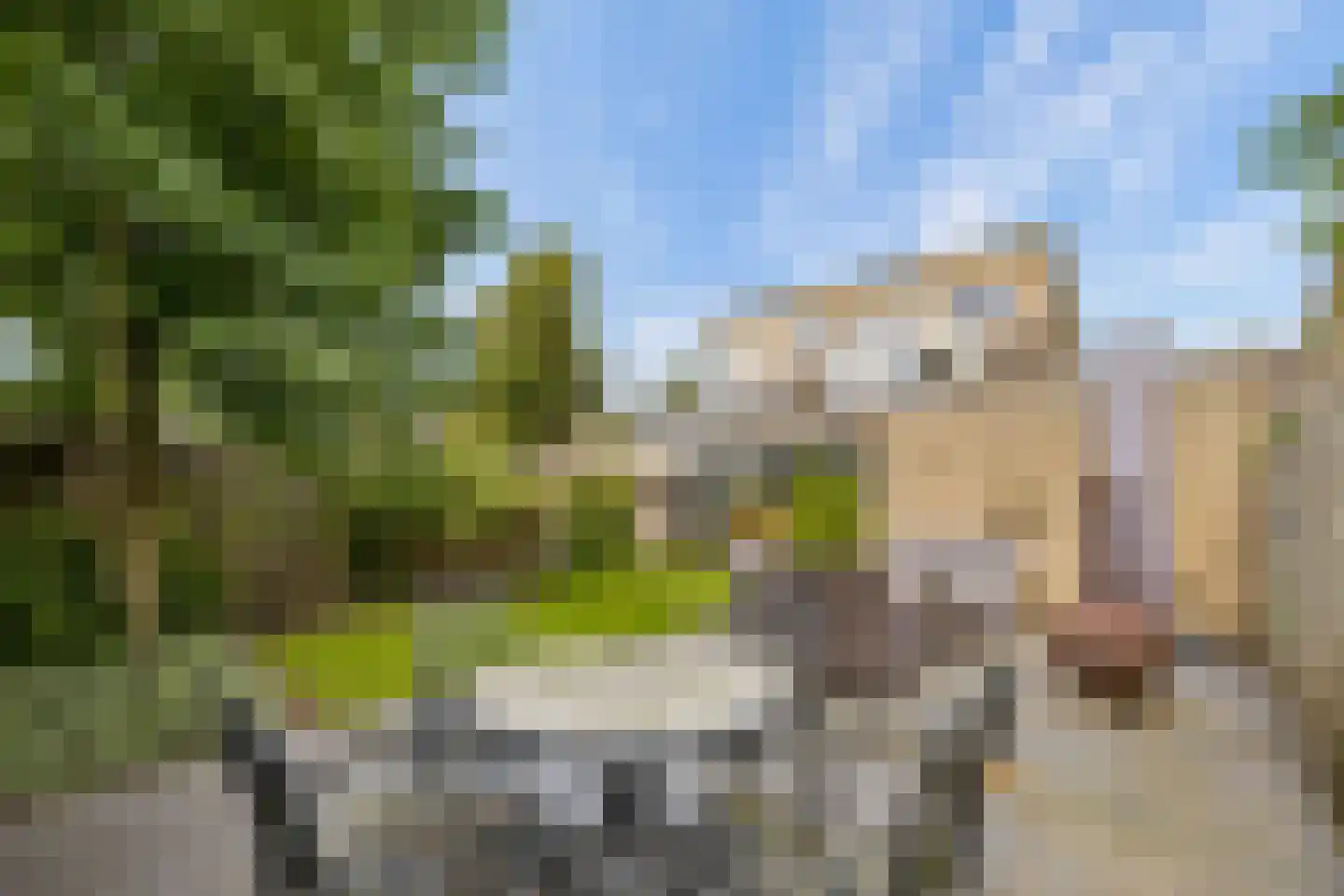 Wilack 315 Uden thumbnail 41
