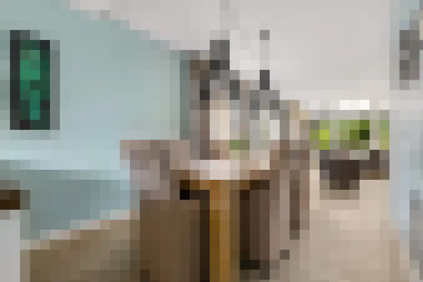 Wilack 315 Uden thumbnail 7