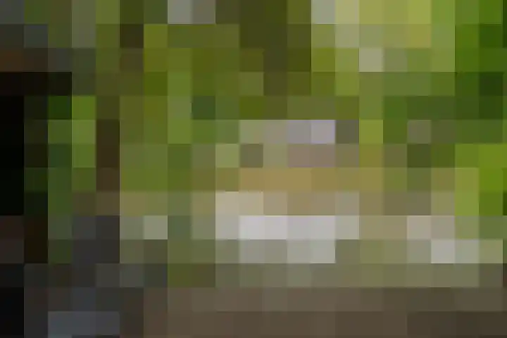 Wilack 328 Uden thumbnail 12