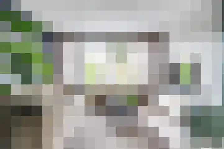 Wilack 328 Uden thumbnail 20