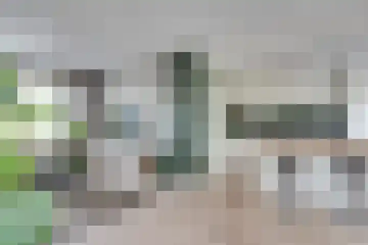 Wilack 328 Uden thumbnail 21