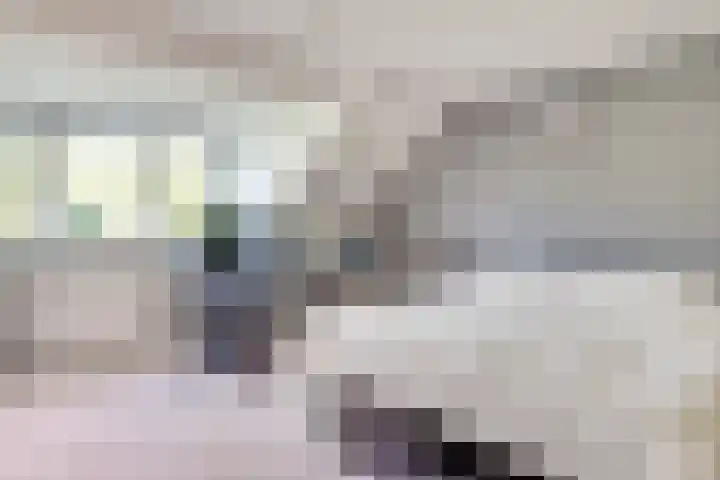 Wilack 328 Uden thumbnail 35