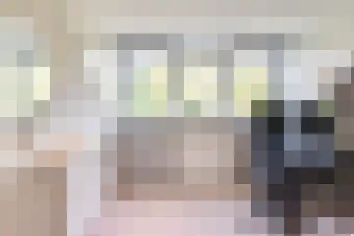 Wilack 328 Uden thumbnail 37