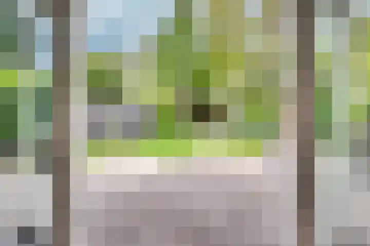 Wilack 328 Uden thumbnail 7