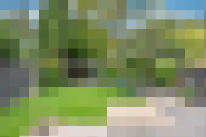 Wilack 328 Uden thumbnail 8