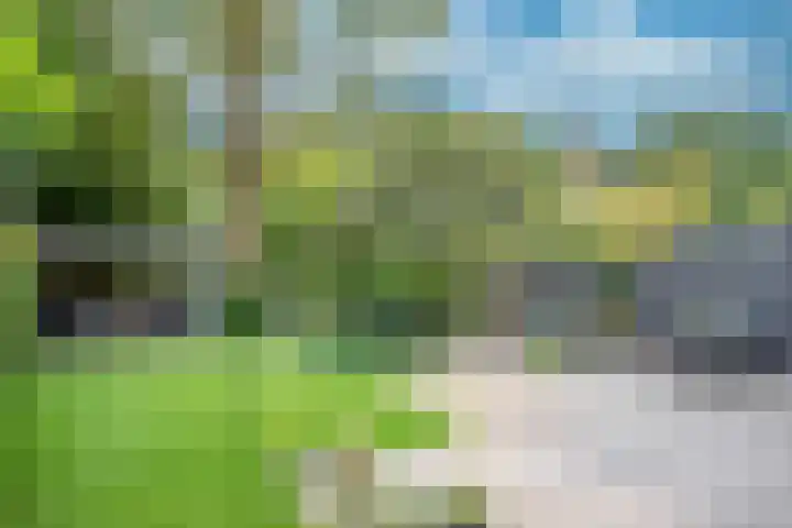 Wilack 328 Uden thumbnail 9