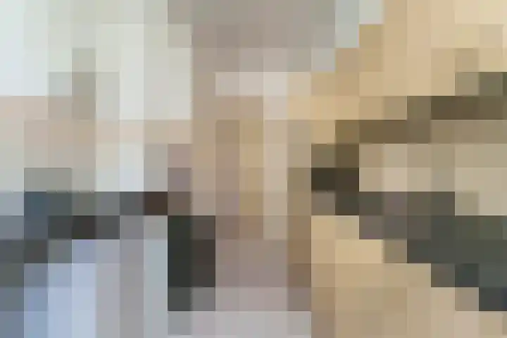 Wilbertoord 100 Rotterdam thumbnail 12