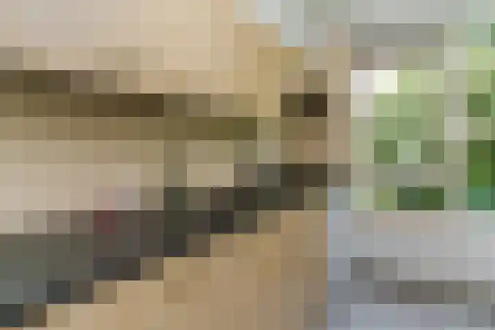 Wilbertoord 100 Rotterdam thumbnail 13