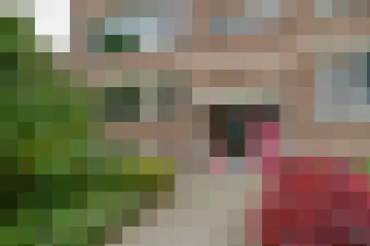 Wilbertoord 100 Rotterdam thumbnail 23