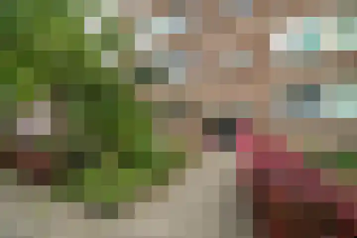 Wilbertoord 100 Rotterdam thumbnail 24