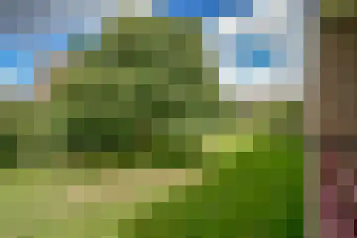 Wilbertoord 100 Rotterdam thumbnail 25