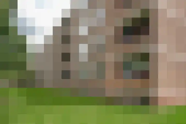 Wilbertoord 100 Rotterdam thumbnail 26