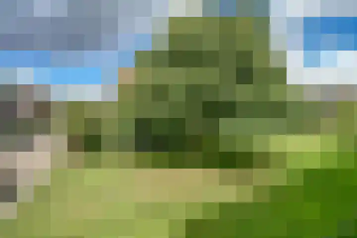 Wilbertoord 100 Rotterdam thumbnail 27