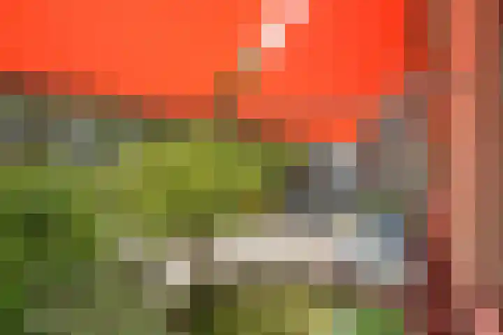 Wilbertoord 100 Rotterdam thumbnail 28