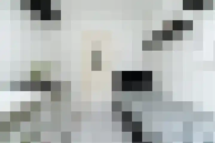 Wilbertoord 100 Rotterdam thumbnail 4