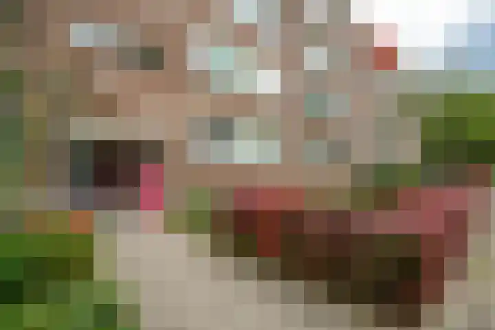 Wilbertoord 100 Rotterdam thumbnail 6