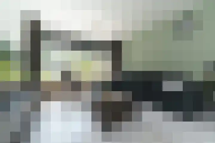 Wilbertoord 100 Rotterdam thumbnail 7