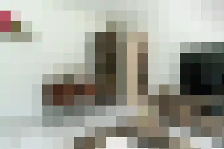 Wilbertoord 100 Rotterdam thumbnail 8