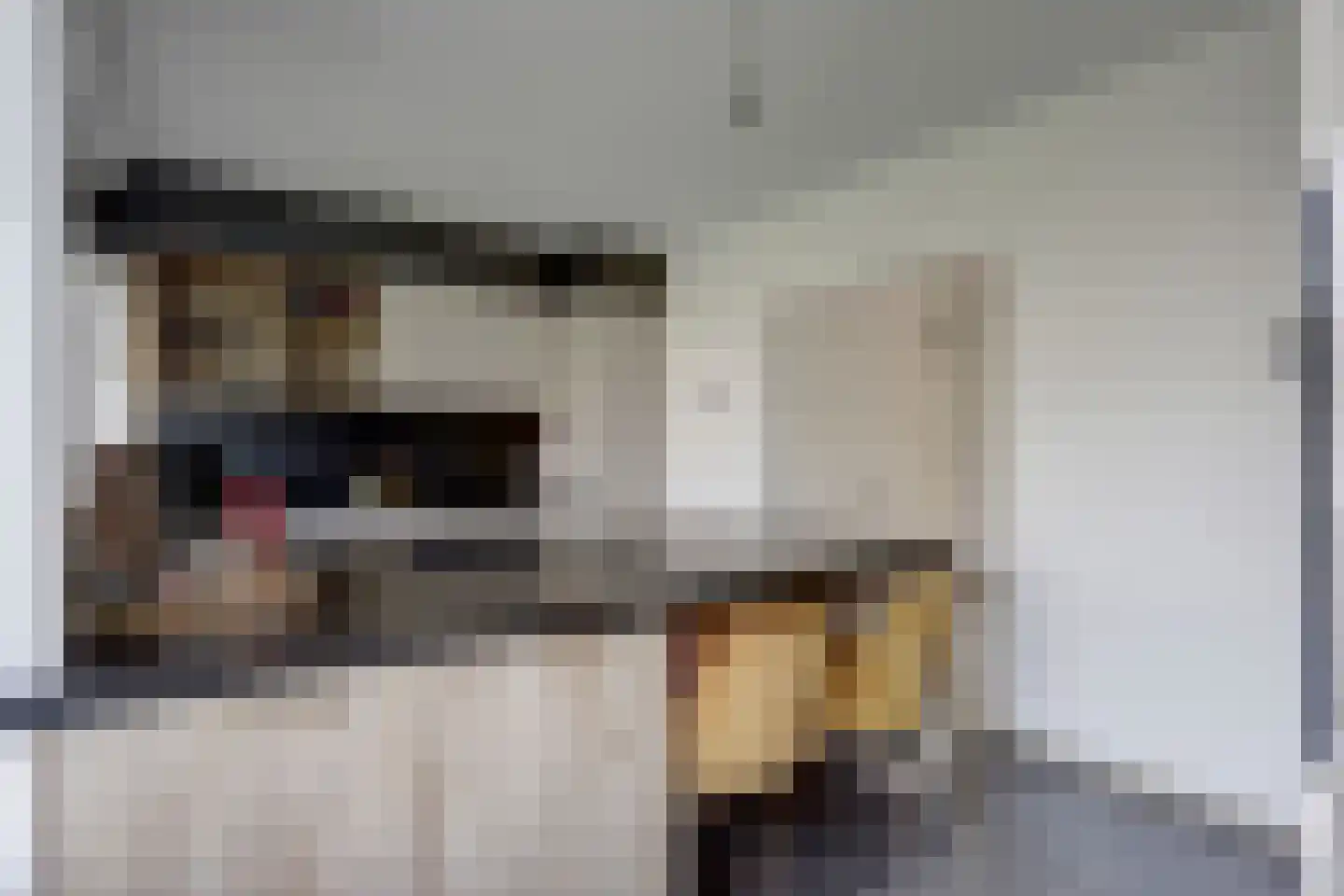 Wilbertoord 11 Rotterdam thumbnail 8