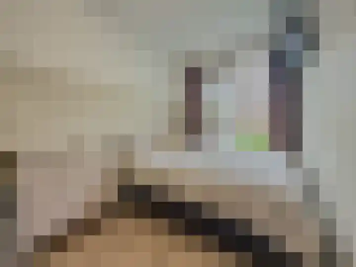 Wilbertoord 138 Rotterdam thumbnail 17
