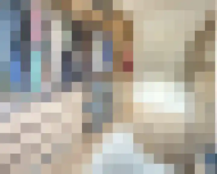 Wilbertoord 138 Rotterdam thumbnail 22