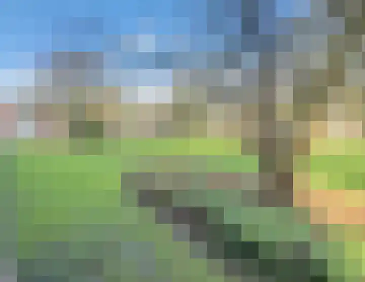 Wilbertoord 138 Rotterdam thumbnail 9