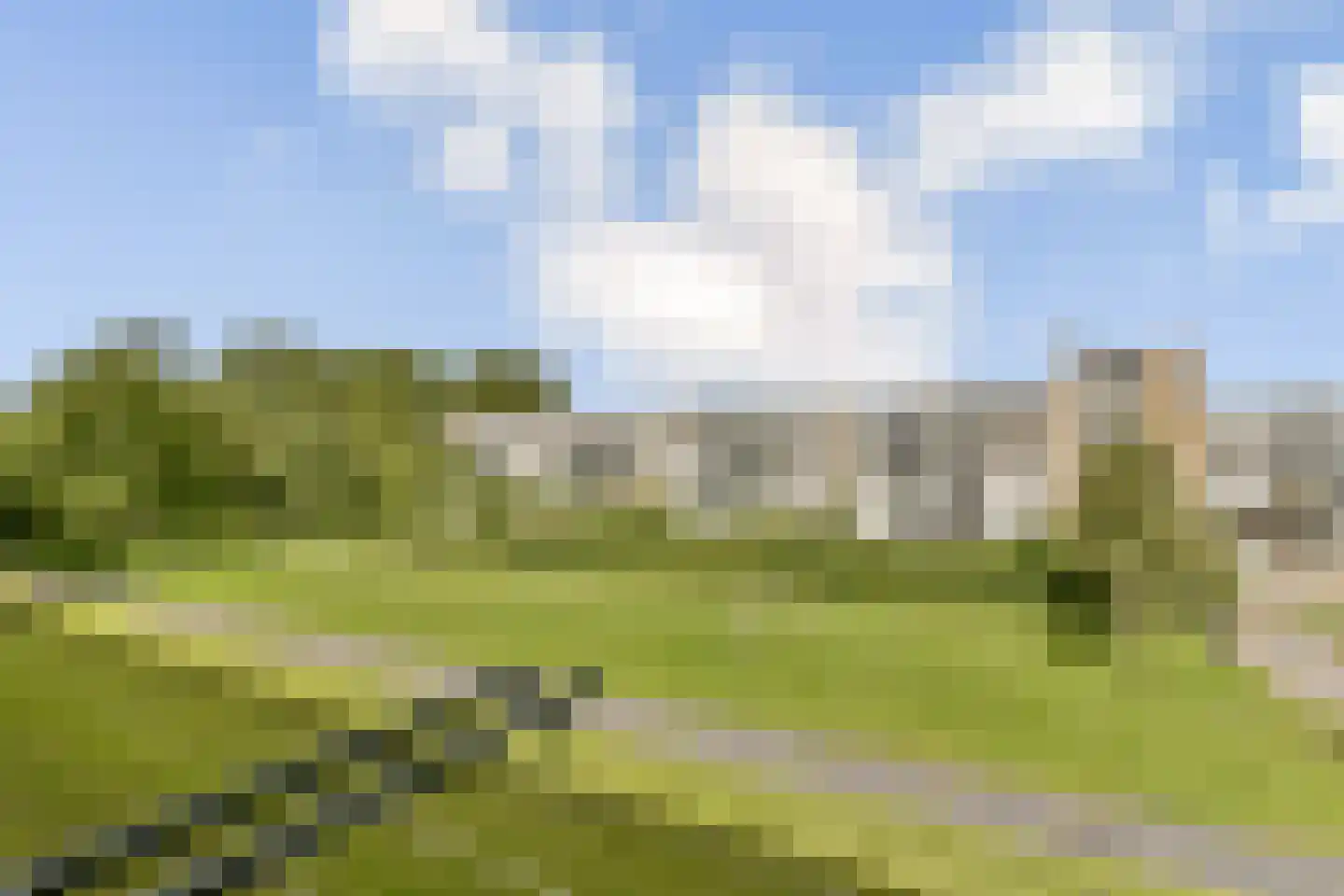 Wilbertoord 19 Rotterdam thumbnail 12