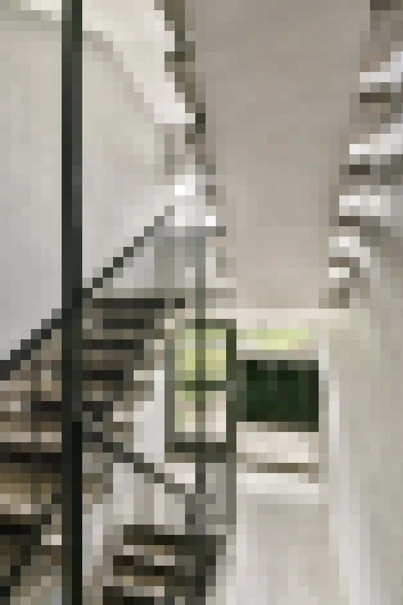 Wilbertoord 19 Rotterdam thumbnail 27