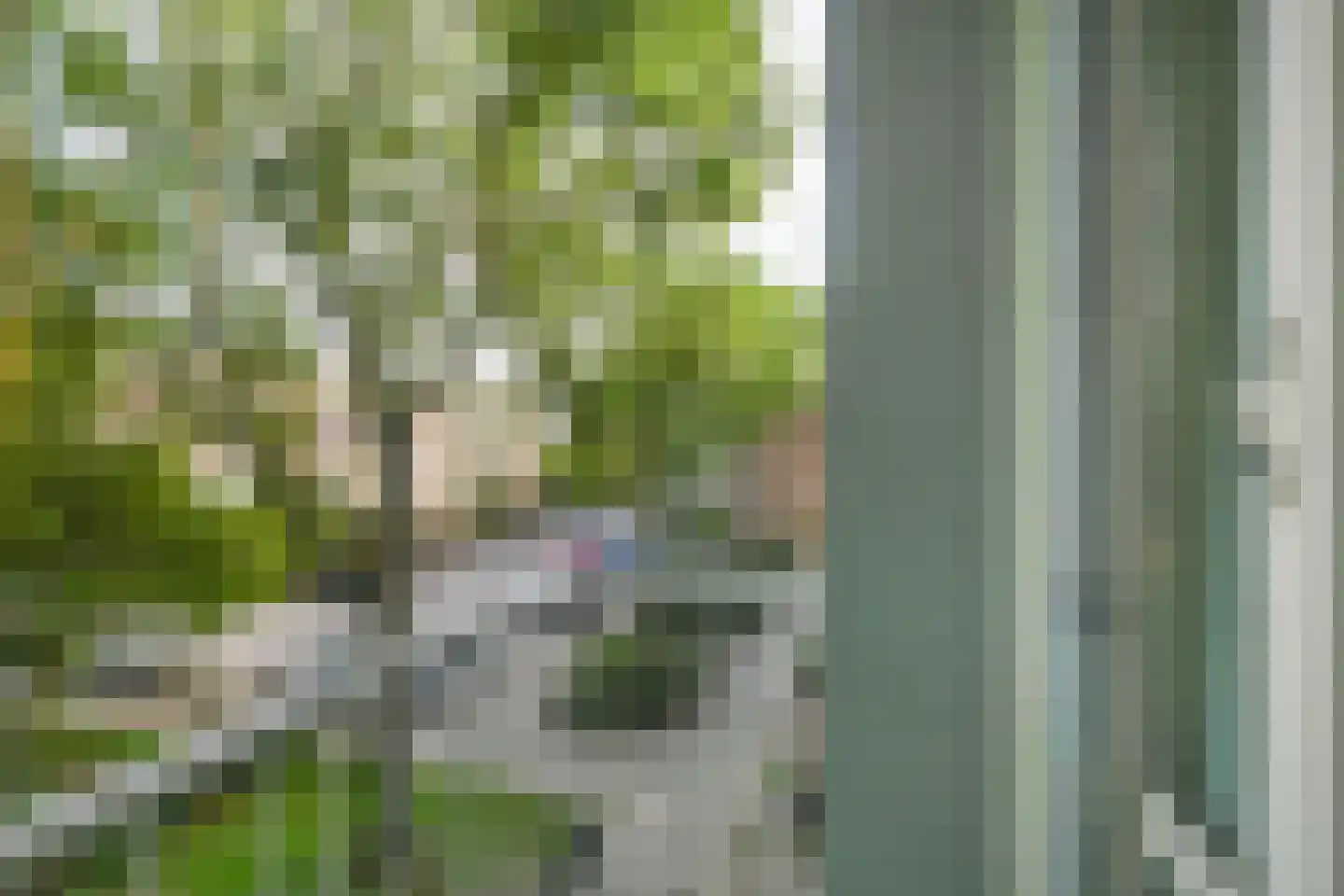 Wilbertoord 253 Rotterdam thumbnail 25