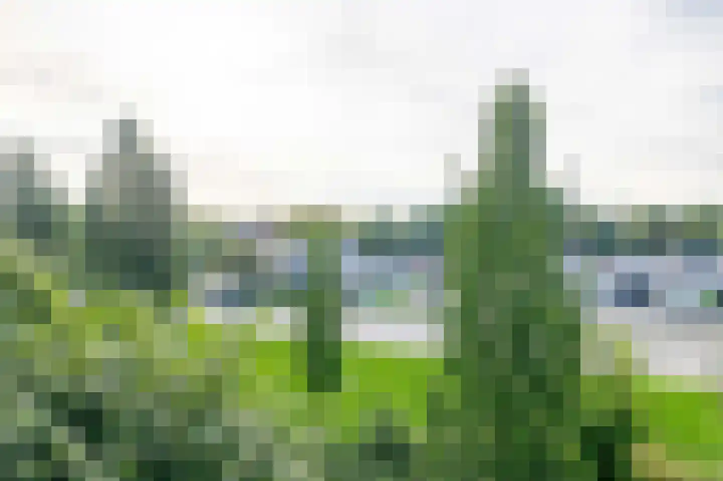 Wilbertoord 253 Rotterdam thumbnail 26