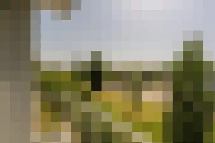 Wilbertoord 253 Rotterdam thumbnail 26