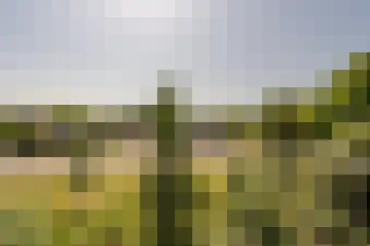 Wilbertoord 253 Rotterdam thumbnail 27