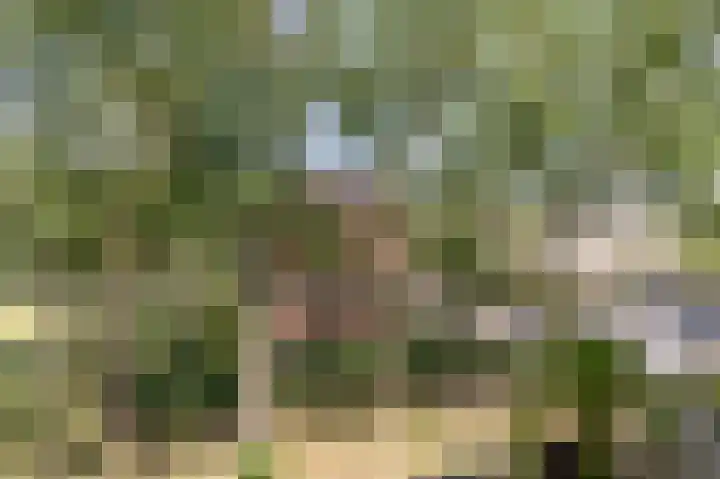 Wilbertoord 253 Rotterdam thumbnail 30