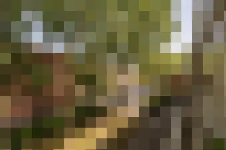 Wilbertoord 253 Rotterdam thumbnail 31