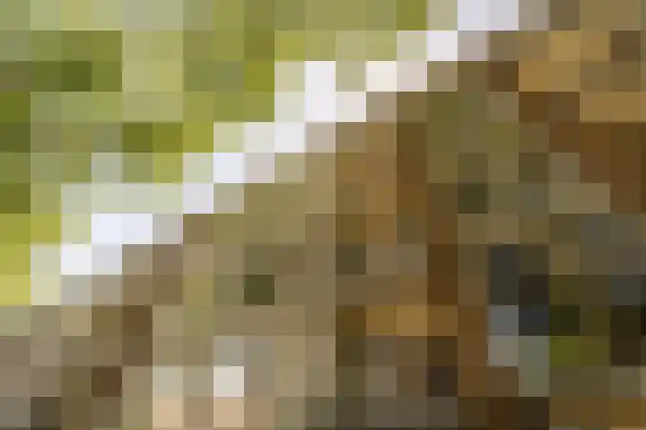 Wilbertoord 253 Rotterdam thumbnail 33