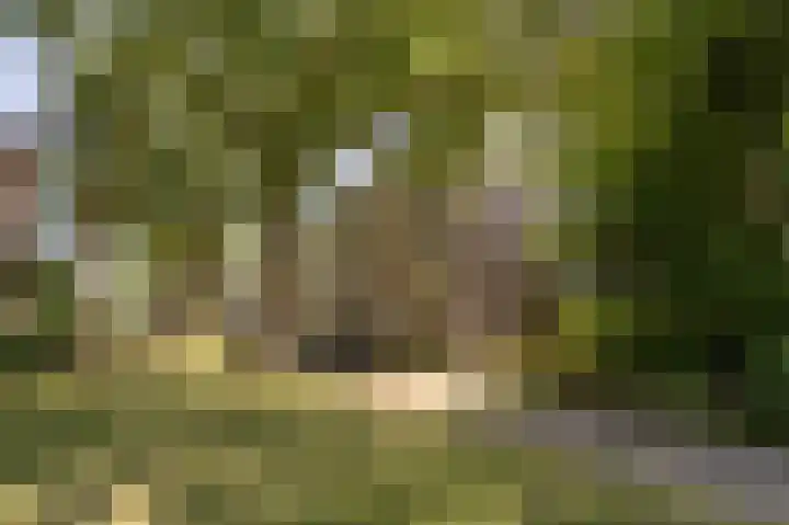 Wilbertoord 253 Rotterdam thumbnail 35