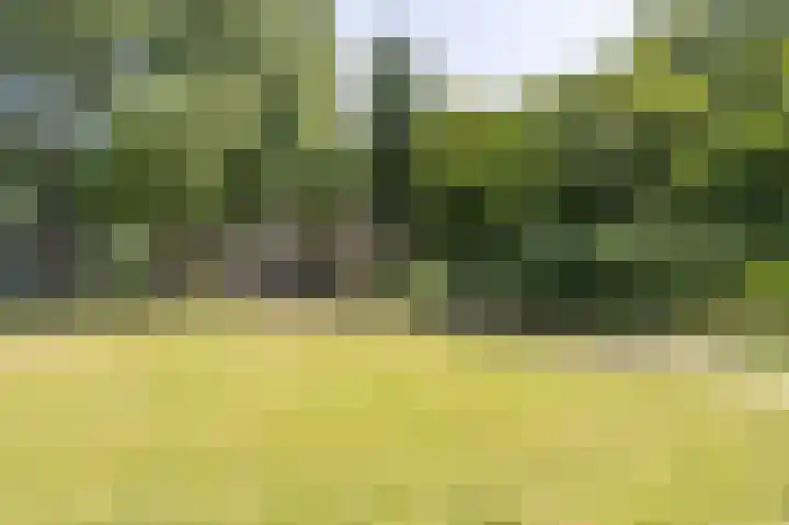 Wilbertoord 253 Rotterdam thumbnail 37