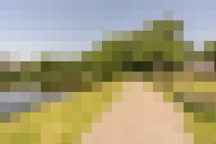 Wilbertoord 253 Rotterdam thumbnail 38