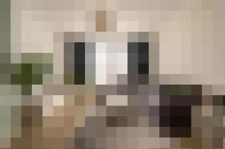 Wilbertoord 253 Rotterdam thumbnail 7