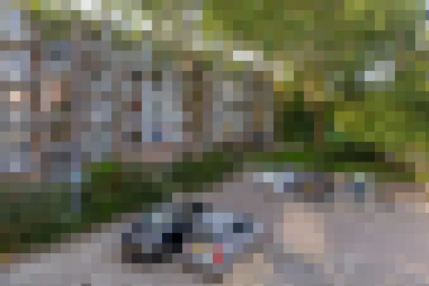 Wilbertoord 253 Rotterdam thumbnail 8
